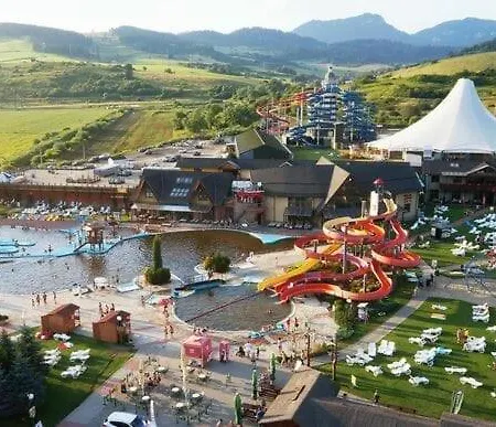 Besen 305 *