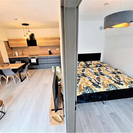 Besen 305 Бешенёва